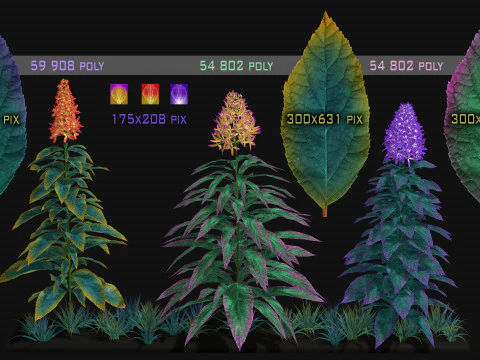 Flowers Paniculata hybrid 3D Model