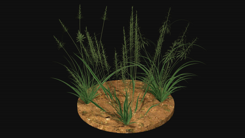 Weed grass Low-poly 3D 模型 .c4d .max .obj .3ds .fbx .stl .blend 