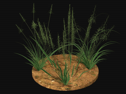 Weed grass Low-poly 3D Modell