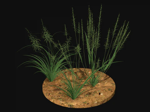 खरपतवार घास लो-पॉली 3D मॉडल