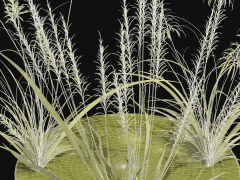 Weed grass Low-poly 3D 模型