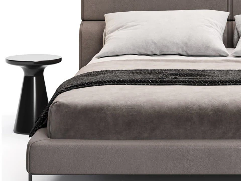 Frigerio Bulut Yatağı 3D Model