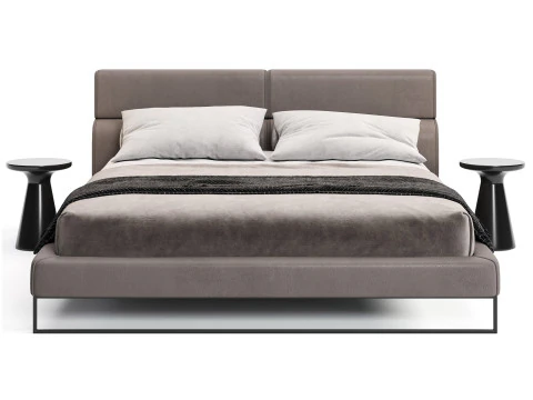 Frigerio Bulut Yatağı 3D Model