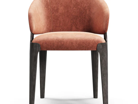 Diotti Velis Wooden Legs Upholstered Chairs Chair 3D Model