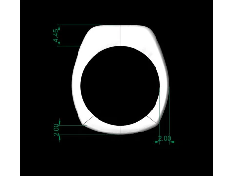 Award ring 3D Model