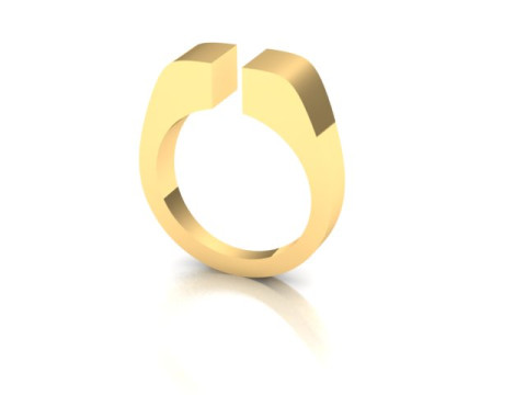 Award ring 3Dモデル