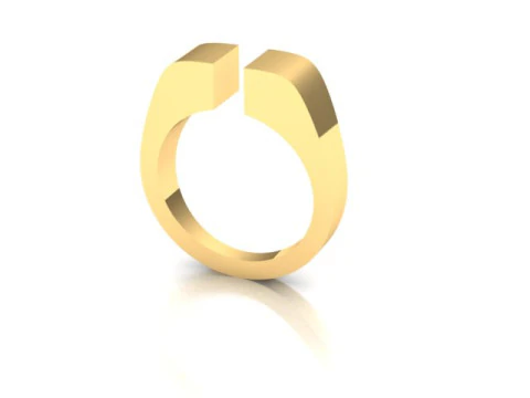 Pierścień nagrody Model 3D