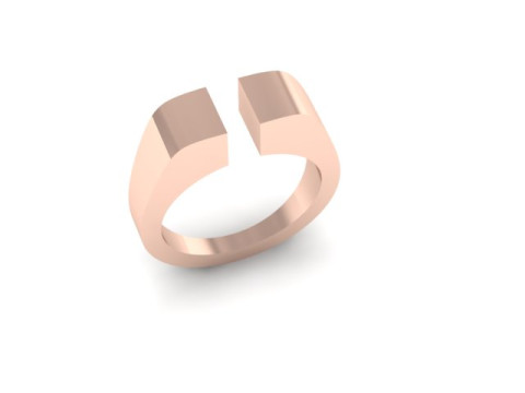 Award ring 3Dモデル