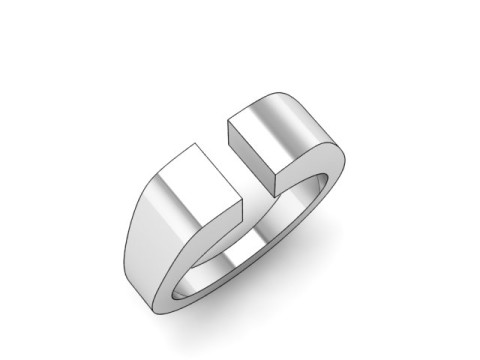 Award ring 3Dモデル