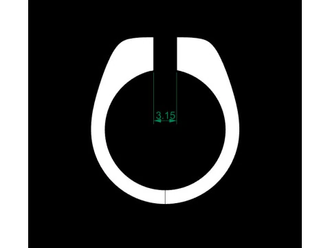 수상 반지 3D 모델