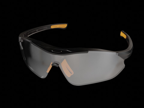 Eyes Protection Spectacles 3Dモデル