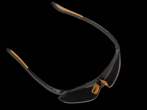 Eyes Protection Spectacles 3D Model