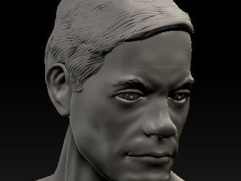 Jcvd kickboxer 3Dプリントモデル
