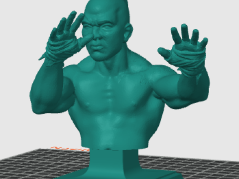 Tong po kickboxer bust 3Dプリントモデル