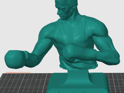 Jcvd karate tiger 3Dプリントモデル