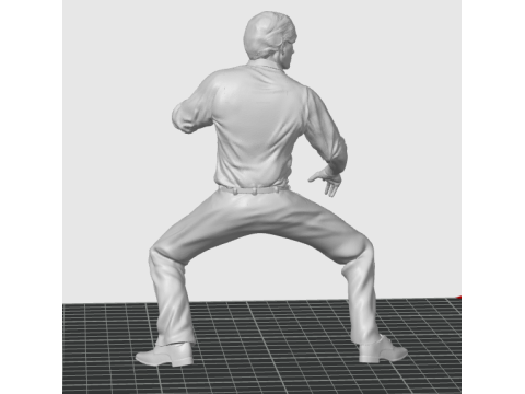 Sho kosugi Modelo de Impressão 3D