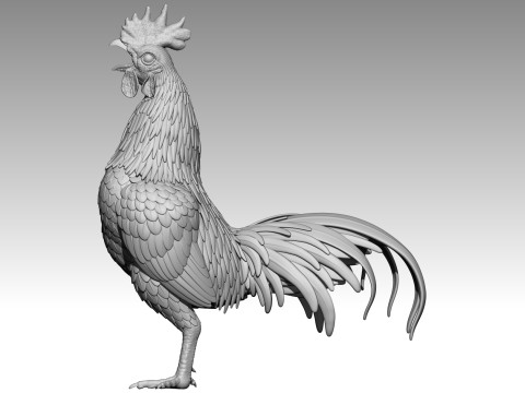 Rooster for 3d print 3Dプリントモデル