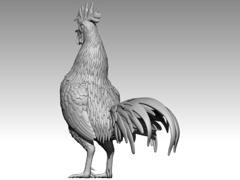 Rooster for 3d print 3Dプリントモデル