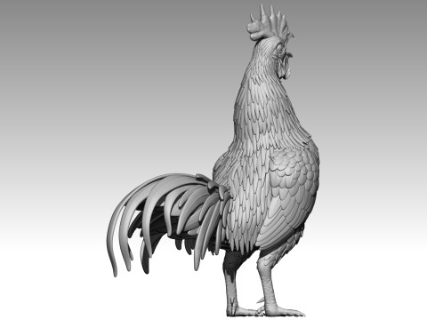 Rooster for 3d print 3Dプリントモデル