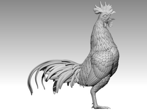 Rooster for 3d print 3Dプリントモデル