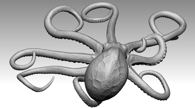 Octopus Modelo de impresión 3D .c4d .max .obj .3ds .fbx .stl .blend 