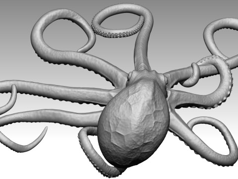 Octopus 3Dプリントモデル