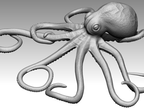 Octopus Modelo de impresión 3D