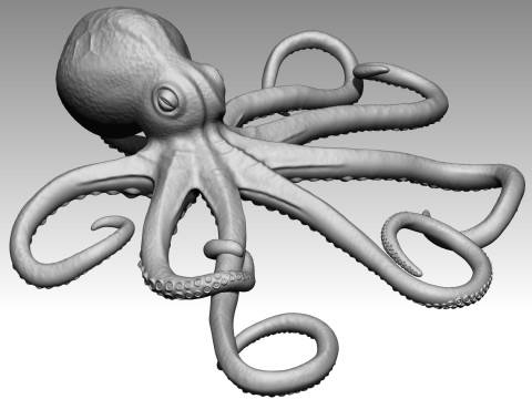 Octopus Modelo de impresión 3D