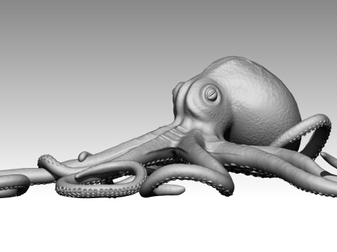 Octopus Modelo de impresión 3D