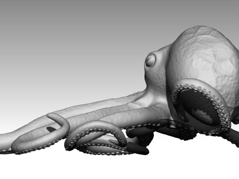 Octopus Modelo de impresión 3D