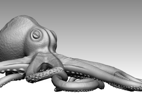 Octopus Modelo de impresión 3D