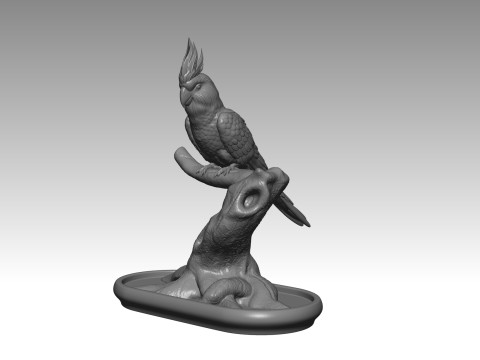 Parrot 3D Print Model
