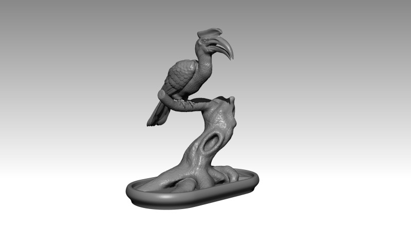 Hornbill 3D Print Model .c4d .max .obj .3ds .fbx .stl .blend