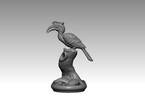 Hornbill 3D Print Model