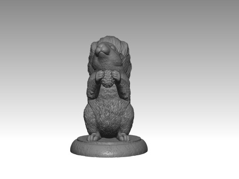 SQUIRREL MODEL 3D PRINT 1 Modèles 3D en vedette