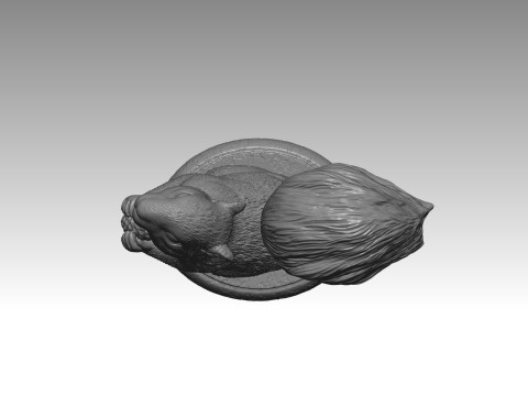 SQUIRREL MODEL 3D PRINT 1 Modèles 3D en vedette