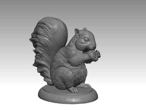 SQUIRREL MODEL 3D PRINT 2 Model Cetak 3D
