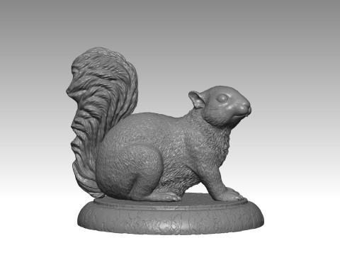 SQUIRREL MODEL 3D PRINT 3 Modello di stampa 3D