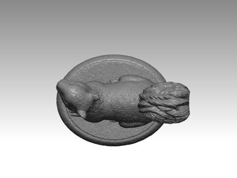 SQUIRREL MODEL 3D PRINT 3 Modello di stampa 3D