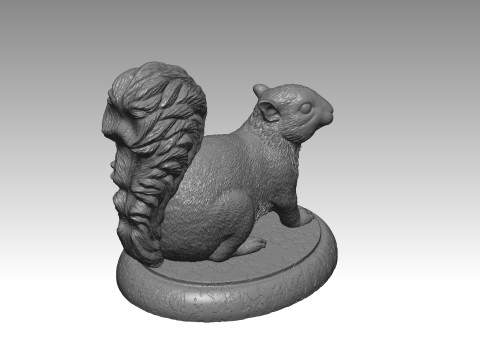 SQUIRREL MODEL 3D PRINT 3 Modello di stampa 3D