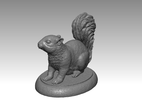 SQUIRREL MODEL 3D PRINT 3 Modello di stampa 3D