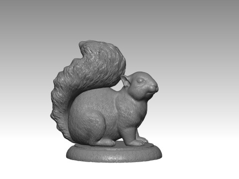 SQUIRREL MODEL 4 Modèles 3D en vedette