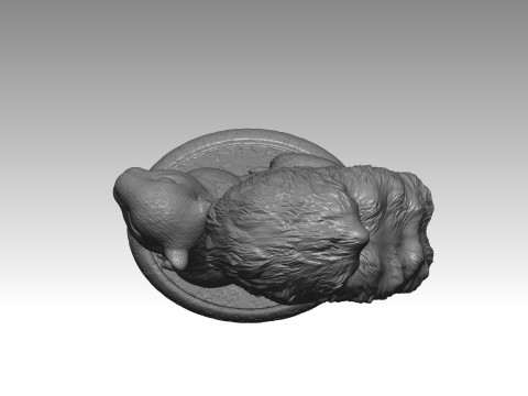 SQUIRREL MODEL 4 3D 打印模型