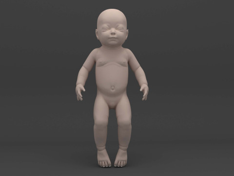 Infant - Baby and Full Skeleton Modelo 3D