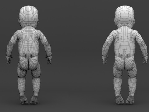 Infant - Baby and Full Skeleton 3Dモデル