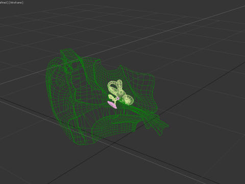 Ear cross section 3D Model