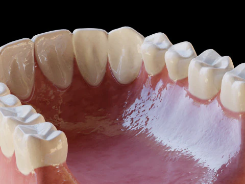 Human Teeth Prosthesis 3D Model