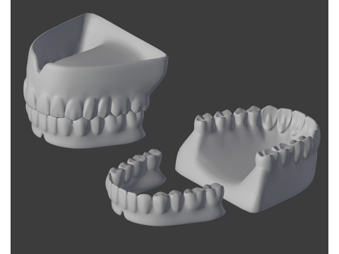 Human Teeth Prosthesis Modèle 3D