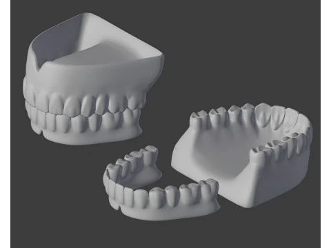 Human Teeth Prosthesis 3D Model