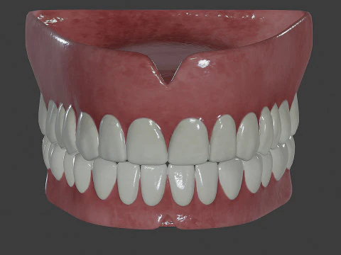 Human Teeth Prosthesis 3D Model